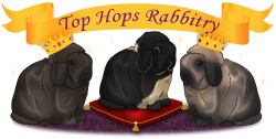 Welcome to Top Hops Rabbitry
